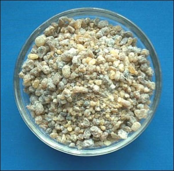 Indischer Weihrauch (Boswellia Serrata) Beutel mit 30 g